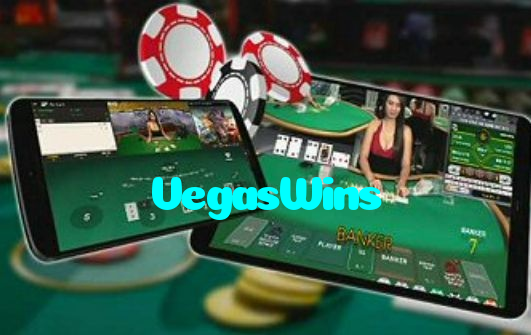 available types of VegasWins bet including pre-match live express and system bets